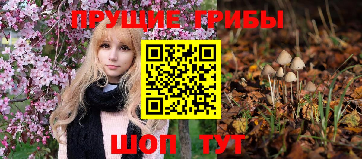 Галлюциногенные грибы GOLDEN TEACHER Гагарин